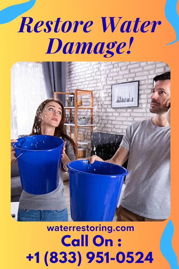 water restoration Southern Damage Recovery Experts Edgemont