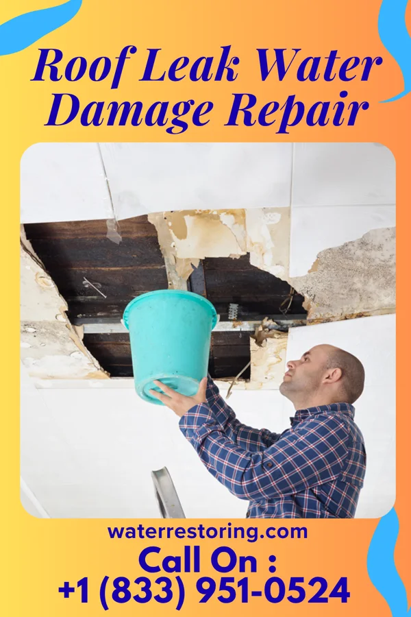 Roof Leak Water Damage Repair in Edgemont, SD
